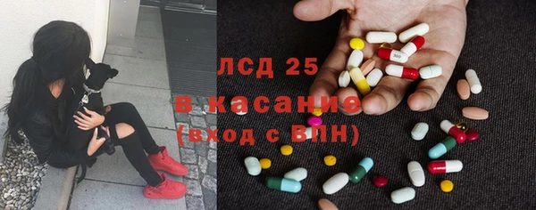 сатива Покровск