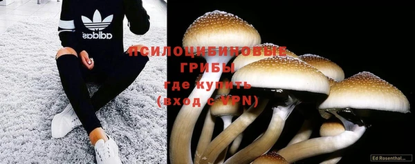ALPHA-PVP Покров
