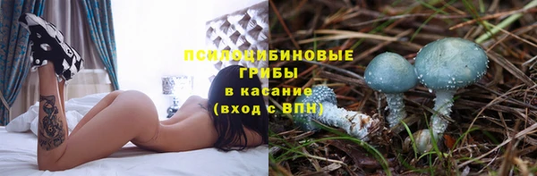 сатива Покровск