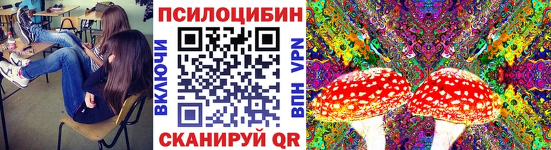 Купить закладки  Светлоград  Галлюциногенные грибы прущие грибы 